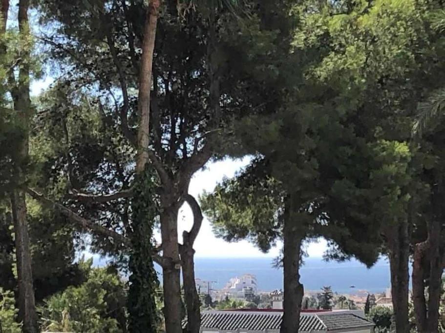Estudio Torre De Andalucia Marbella Dış mekan fotoğraf
